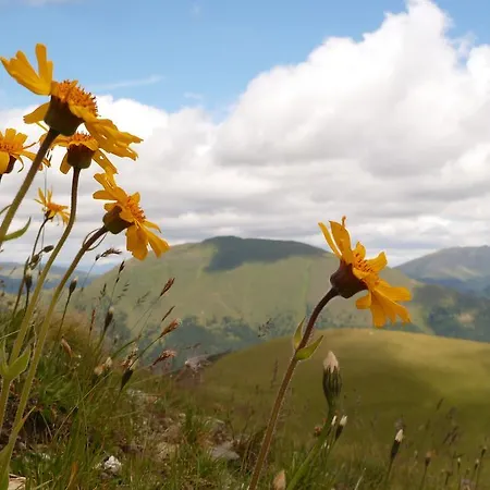 公寓 Leeb Patergassen