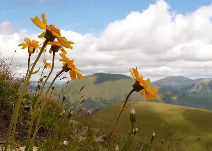 Apartment Leeb Patergassen